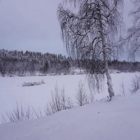 Private Log By The River *