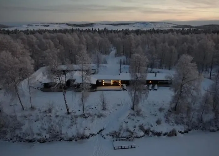 Tolonen A Beautiful Log By The River *