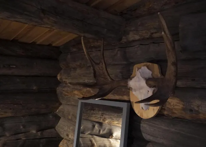 Tolonen A Beautiful Log By The River *