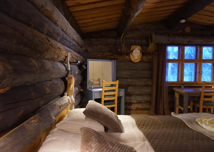 Tolonen A Beautiful Log By The River