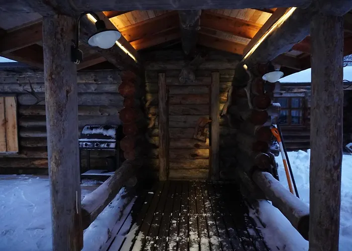 Tolonen A Beautiful Log By The River *