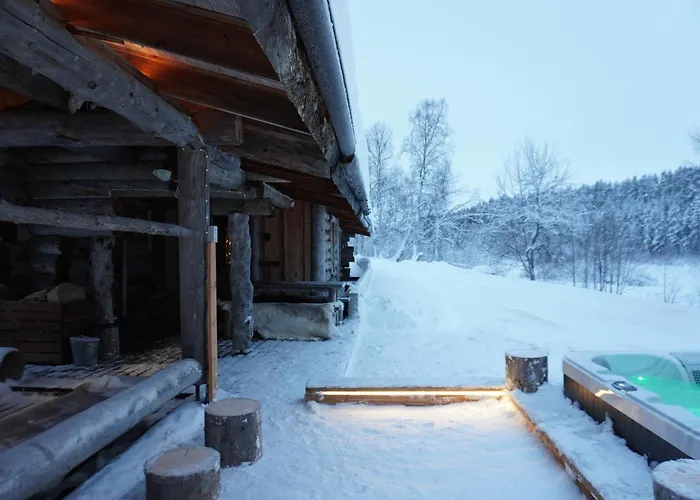 Tolonen A Beautiful Log By The River Ивало