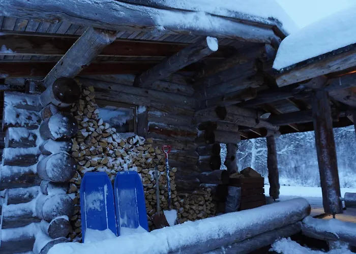 Tolonen A Beautiful Log By The River