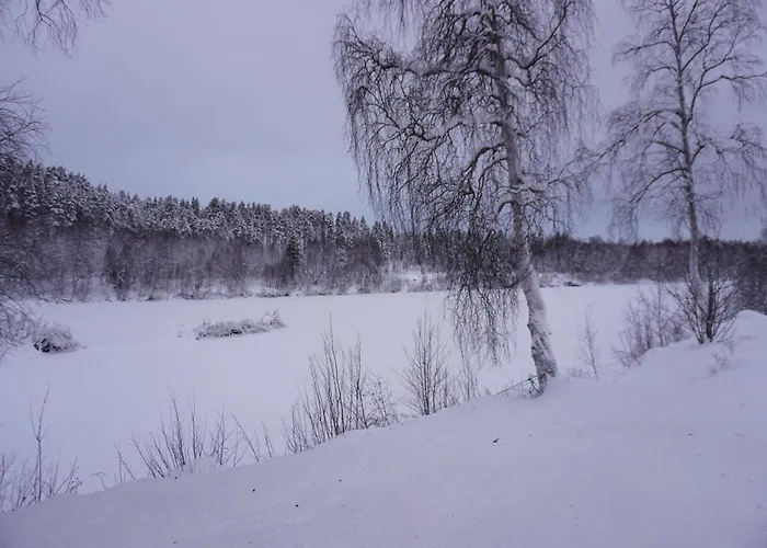 Tolonen A Beautiful Log By The River *